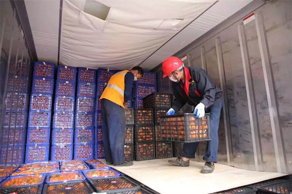 百色一號公司助力廣西援助武漢首發(fā)“愛心果蔬”專列